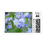 Rainy Day Forget Me Nots Postage