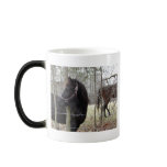 RAINY DAY HORSES MUGS