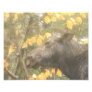 Rainy Day Moose