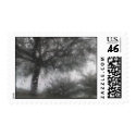 Rainy Day Tree Stamp
