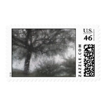 Rainy Day Tree Stamp by tshilohg Rainy Day Tree Stamp