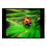 Rainy days greeting card
