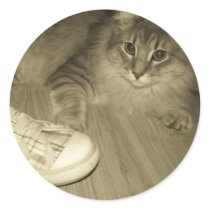 raisin by shoes stickers