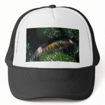 Rajah Brooke's female birdwing, Malaysia Trucker Hats