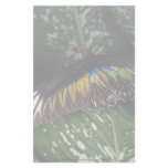 Rajah Brooke's female birdwing, Malaysia Stationery Design