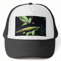 Rajah Brooke's male birdwing, Malaysia Mesh Hat