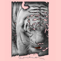 "Rajah" Eco Tee t-shirts