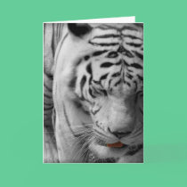 "Rajah" Greeting Card cards