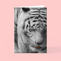 "Rajah" Greeting Card