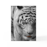 "Rajah" Greeting Card