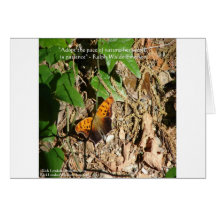 Ralph W Emerson "Pace Of Nature" Wisdom Quote Gift Card