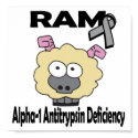 RAM Alpha-1 Antitrypsin Deficiency posters by animals4acause RAM Alpha-1 Antitrypsin Deficiency posters