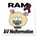 RAM AV Malformation posters