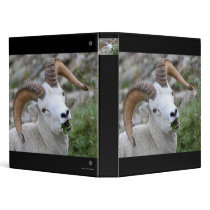 ram binders