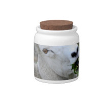 Ram Candy Jar