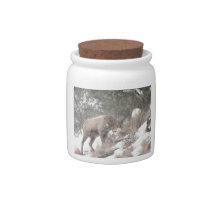 Ram Candy Jars