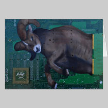 Ram cards