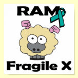 RAM Fragile X posters
