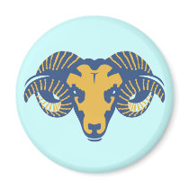Ram Magnet