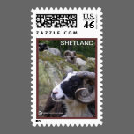 RAM ON POSTAGE STAMP stamps