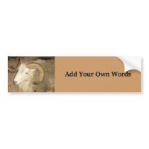Ram photograph bumper stickers by DonnaGrayson Ram photograph bumper stickers