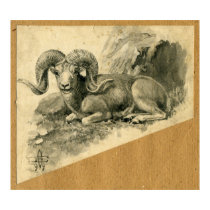 Ram posters