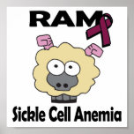 RAM Sickle Cell Anemia Posters