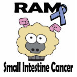RAM Small Intestine Cancer Cut Outs
