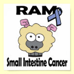 RAM Small Intestine Cancer posters