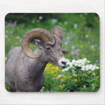 Ram - Smelling the Flowers Mouse Pads
