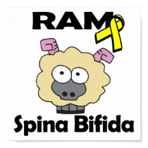 RAM Spina Bifida posters