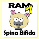 RAM Spina Bifida posters