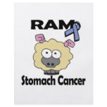 RAM Stomach Cancer flyers