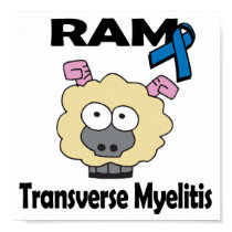 RAM Transverse Myelitis posters