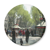 Ramblas Refrigerator Magnets