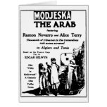 Ramon Novarro The Arab silent movie ad 1924 cards