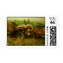 Rams Bump it Postage