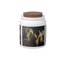 rams candy jars