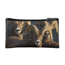 rams makeup bag