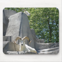 rams mousepads by jdspenguins rams mousepads