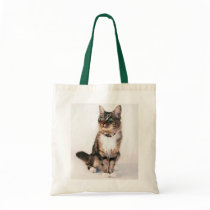 Ramsey bag