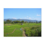 Ranau Countryside Postcard