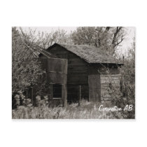 RanbledDown Shack Post Card