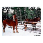 Ranch Horses Painting Print