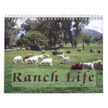 Ranch Life at the Blackman Ranch Calendars