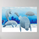 Randalls manatees posters