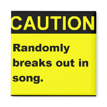 Randmon Song Refrigerator Magnets