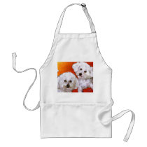 Randolph's Jasper & Cosmo aprons