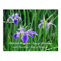 Random Act of Kindess Postcard - Purple Iris postcards