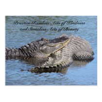 Random Acts of Kindness Postcard - Alligators postcards